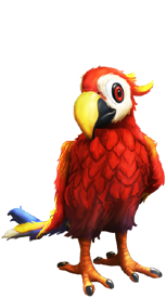 Perroquet dans My Free Zoo